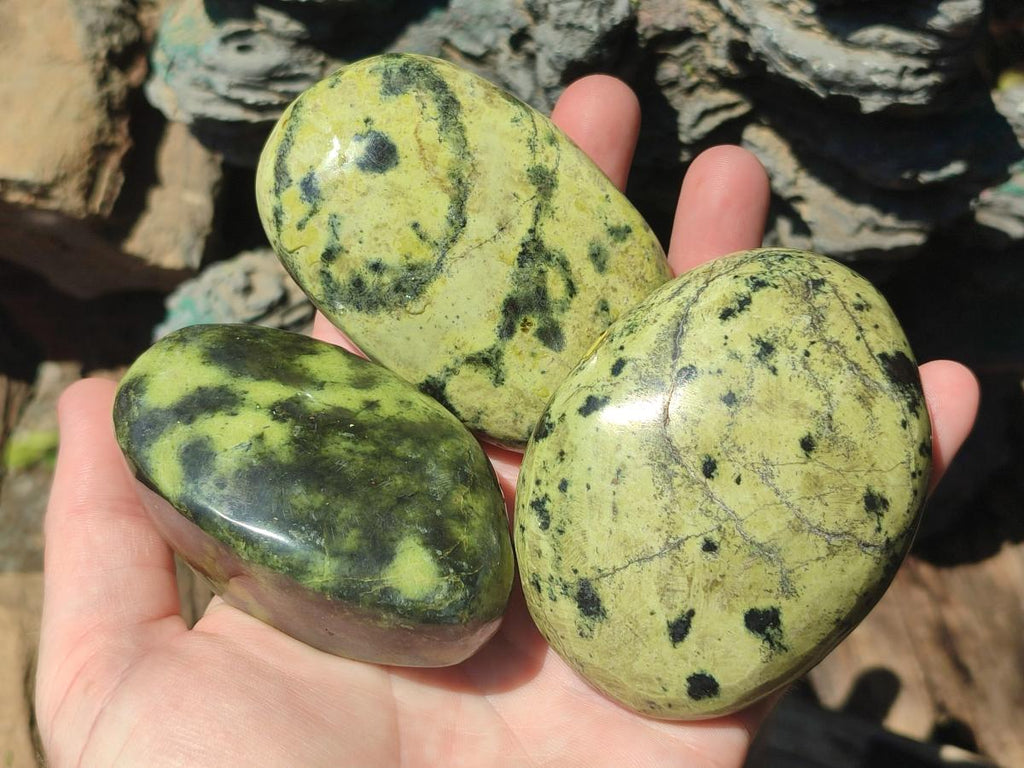 Polished Leopard Stone Free Forms x 6 From Zimbabwe