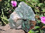 Natural Swazi Jade Cobbed Specimens x 12 From Swaziland