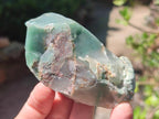 Natural Swazi Jade Cobbed Specimens x 12 From Swaziland