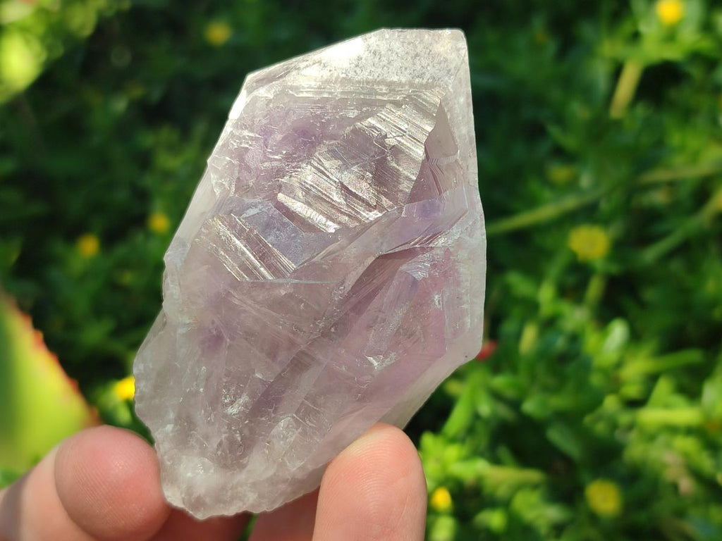 Natural Jacaranda Amethyst Single Crystals x 17 From Mumbwa, Zambia