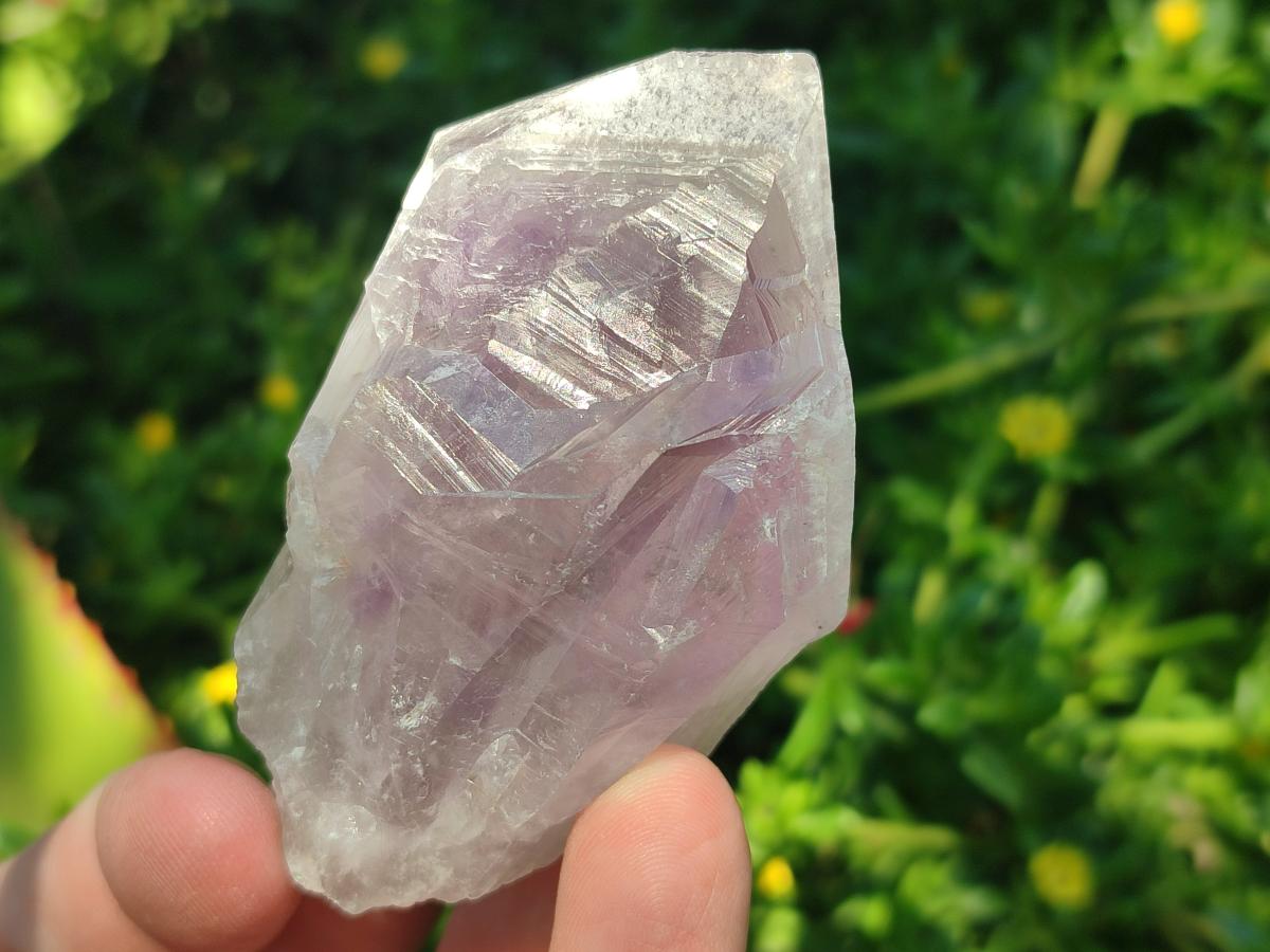 Natural Jacaranda Amethyst Single Crystals x 17 From Mumbwa, Zambia