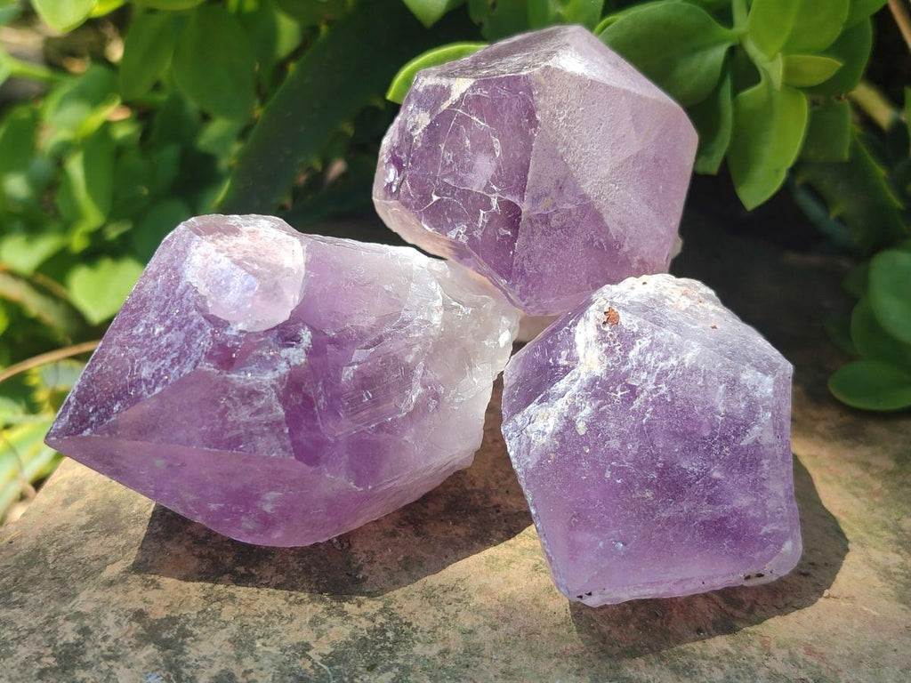 Natural Jacaranda Amethyst Single Crystals x 17 From Mumbwa, Zambia