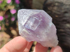 Natural Jacaranda Amethyst Single Crystals x 17 From Mumbwa, Zambia