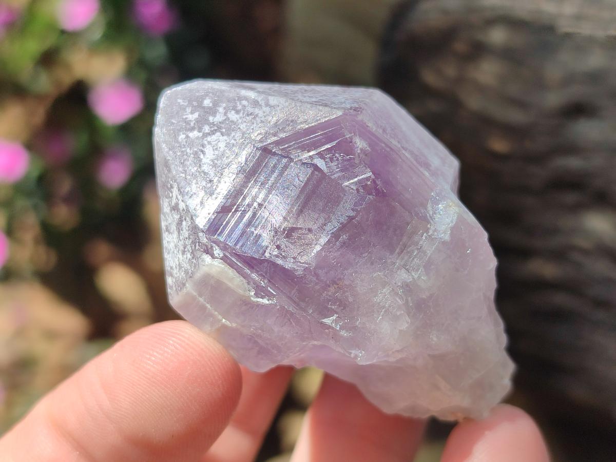 Natural Jacaranda Amethyst Single Crystals x 17 From Mumbwa, Zambia