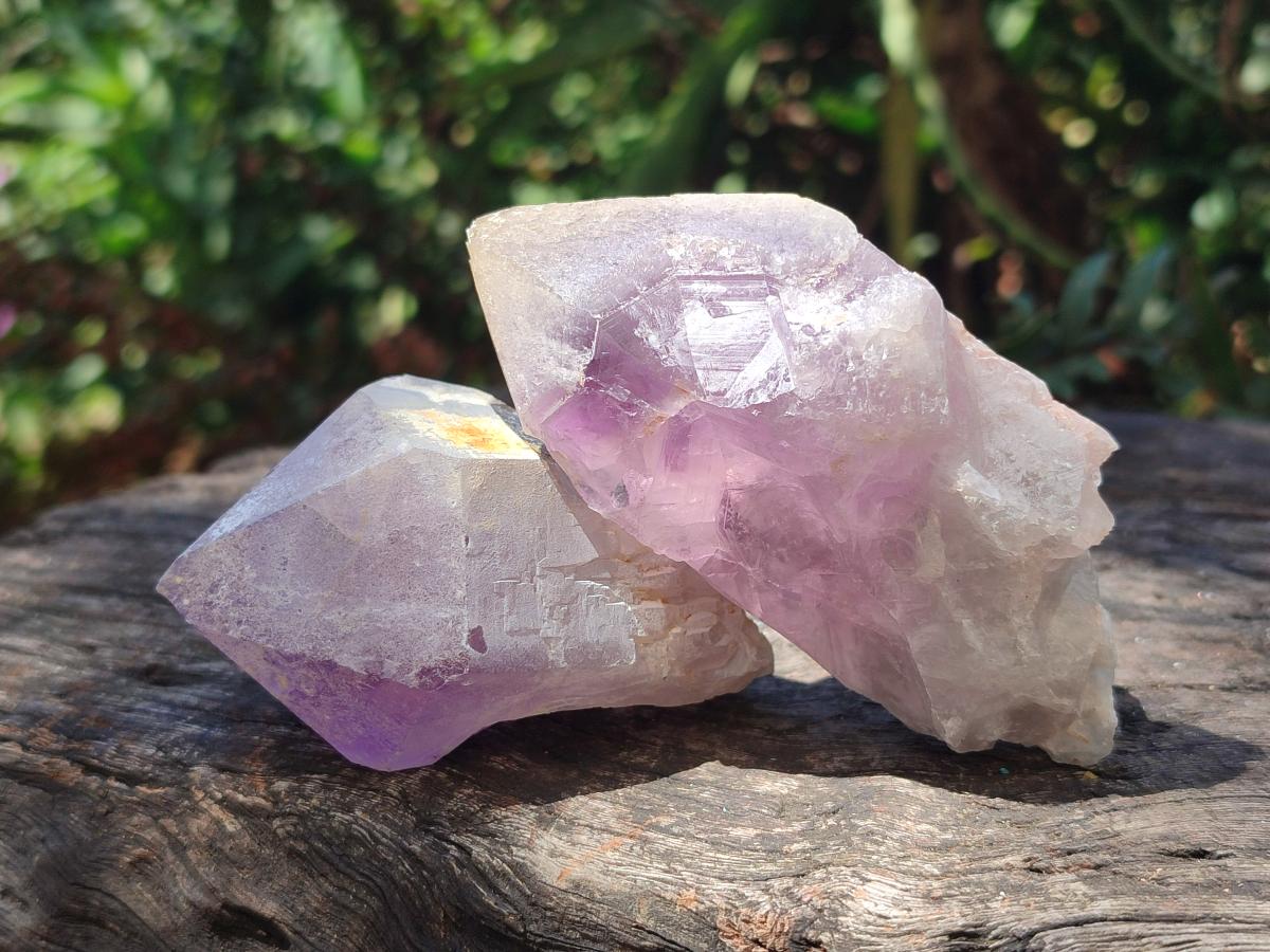 Natural Jacaranda Amethyst Single Crystals x 17 From Mumbwa, Zambia