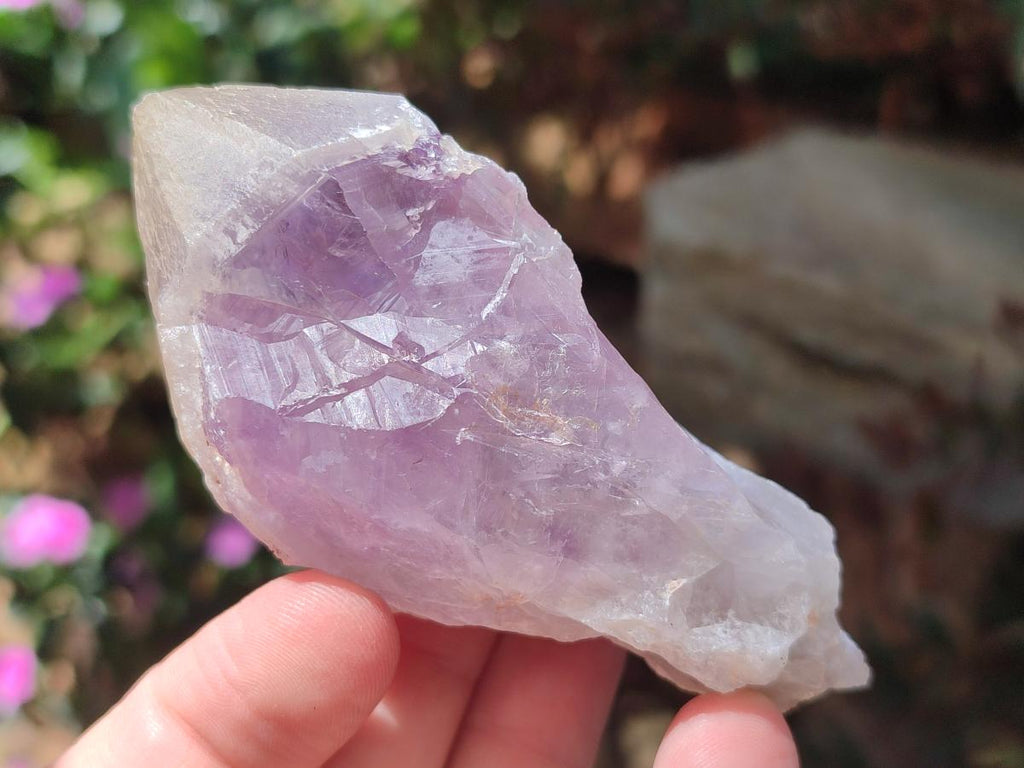 Natural Jacaranda Amethyst Single Crystals x 17 From Mumbwa, Zambia