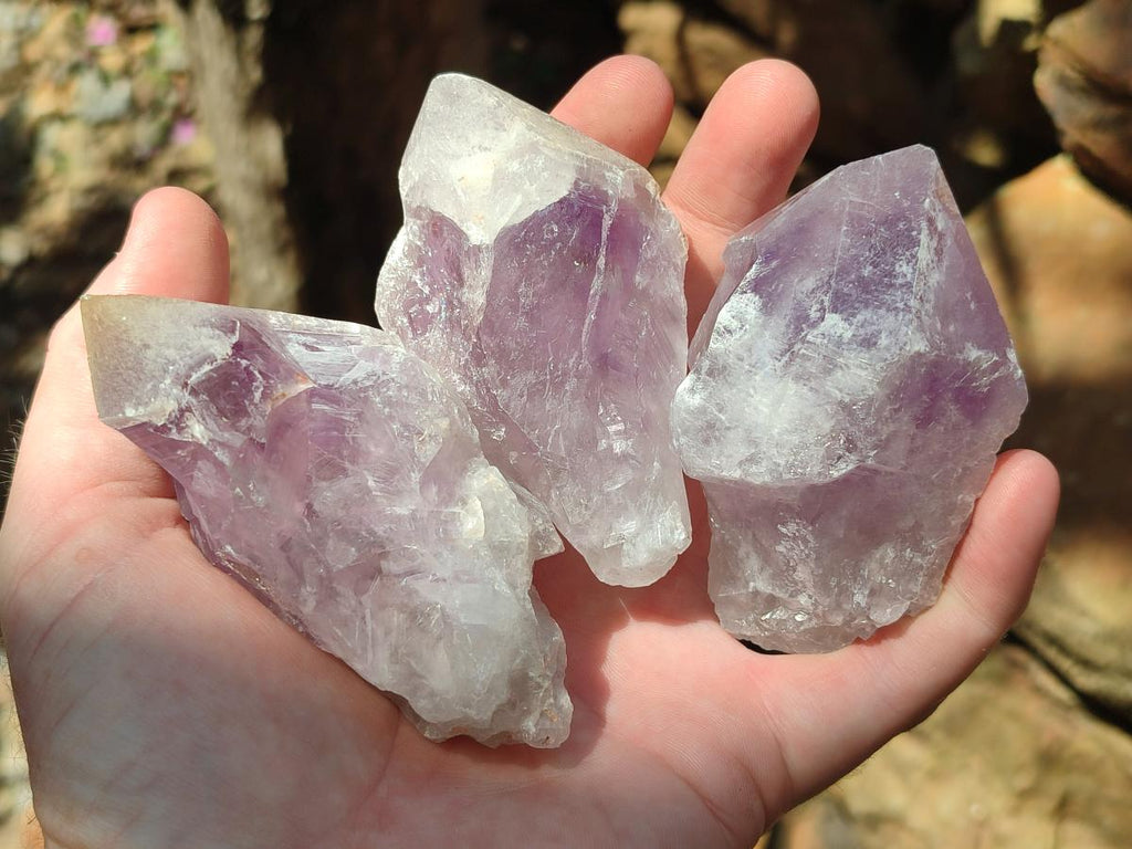 Natural Jacaranda Amethyst Single Crystals x 17 From Mumbwa, Zambia