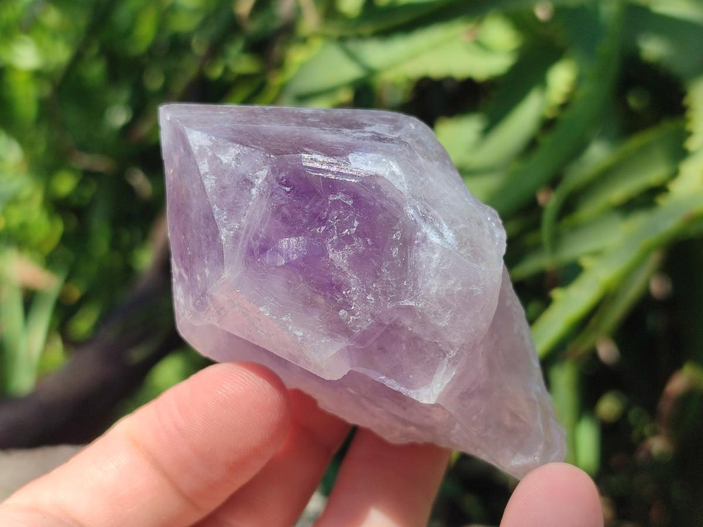 Natural Jacaranda Amethyst Single Crystals x 17 From Mumbwa, Zambia