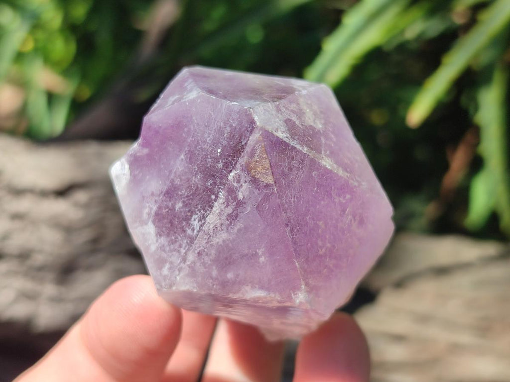 Natural Jacaranda Amethyst Single Crystals x 17 From Mumbwa, Zambia