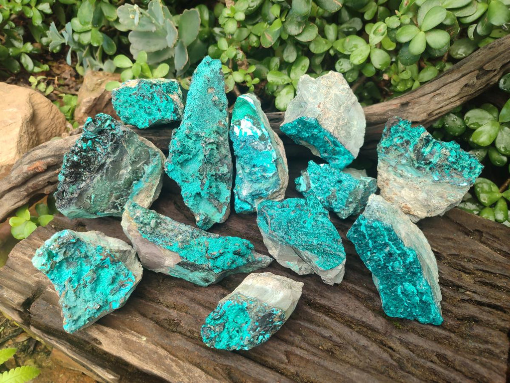 Natural Bright Blue Silica Chrysocolla Specimens x 12 From Kulukuluku, Congo - Toprock Gemstones and Minerals 