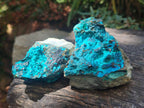 Natural Bright Blue Silica Chrysocolla Specimens x 12 From Kulukuluku, Congo - Toprock Gemstones and Minerals 