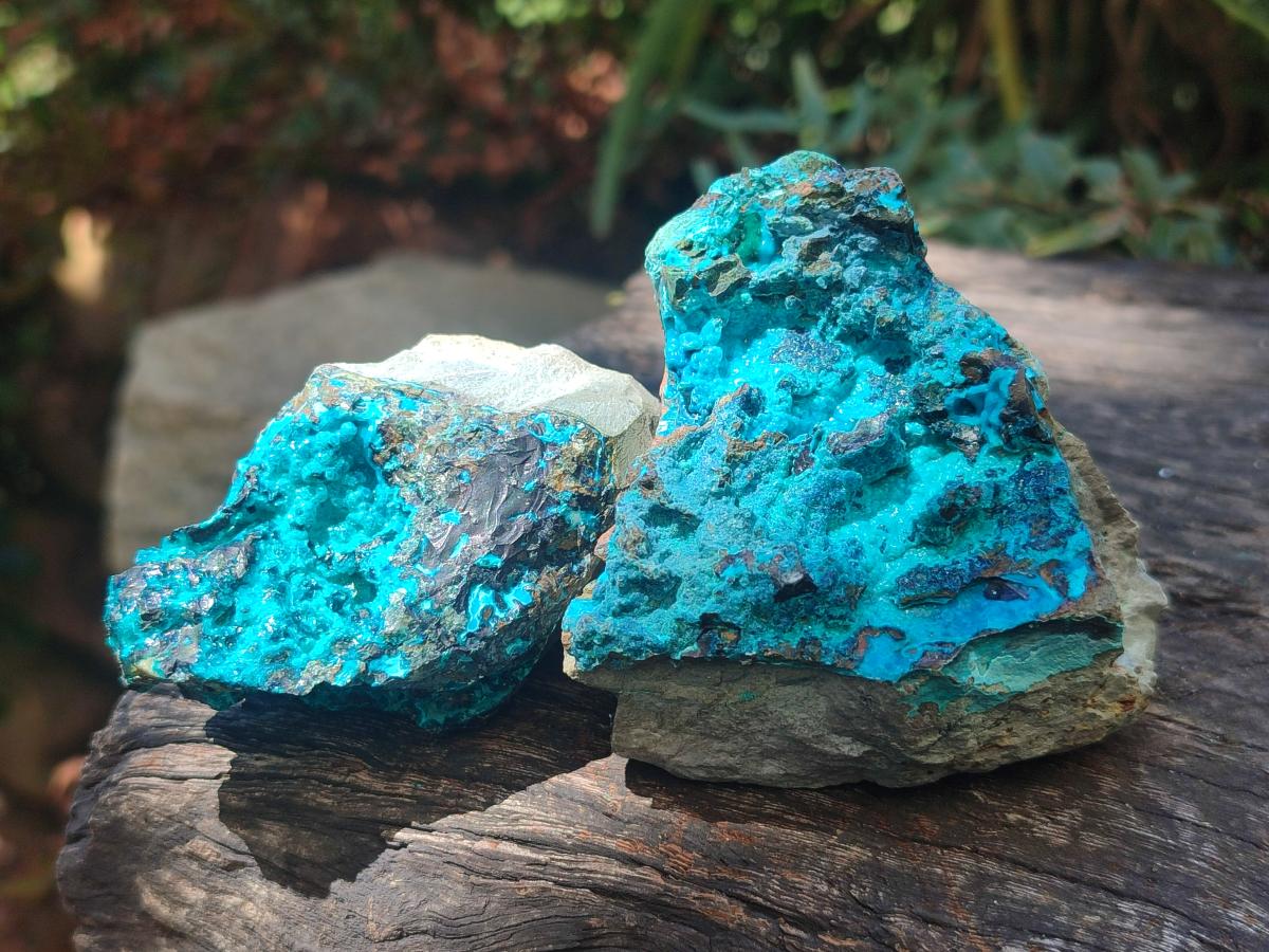 Natural Bright Blue Silica Chrysocolla Specimens x 12 From Kulukuluku, Congo - Toprock Gemstones and Minerals 