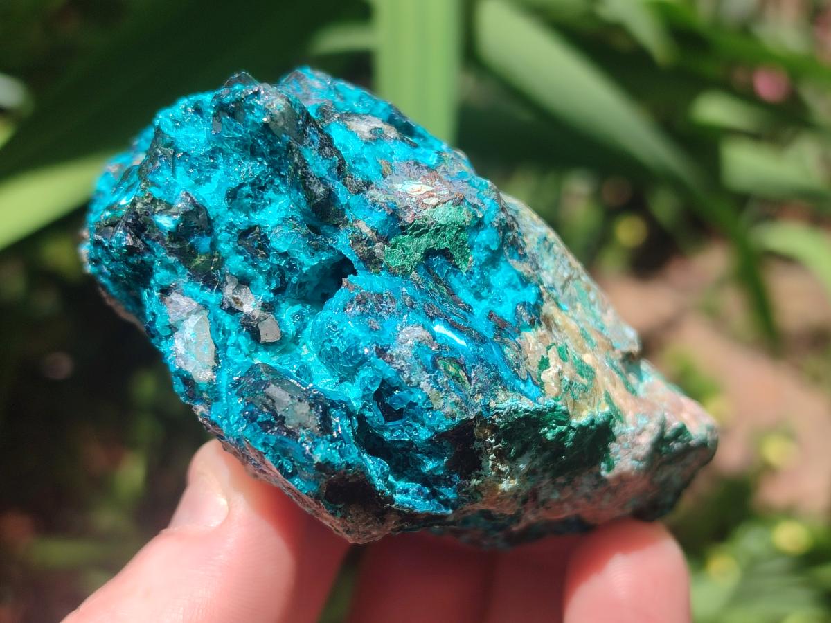 Natural Bright Blue Silica Chrysocolla Specimens x 12 From Kulukuluku, Congo - Toprock Gemstones and Minerals 