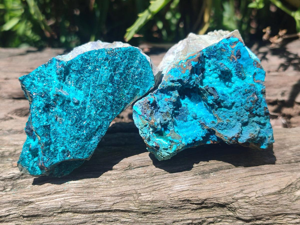 Natural Bright Blue Silica Chrysocolla Specimens x 12 From Kulukuluku, Congo - Toprock Gemstones and Minerals 