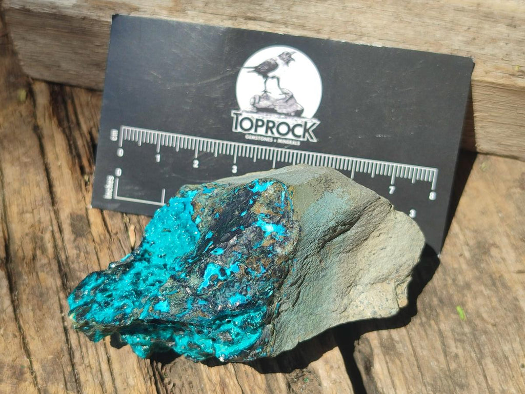 Natural Bright Blue Silica Chrysocolla Specimens x 12 From Kulukuluku, Congo - Toprock Gemstones and Minerals 