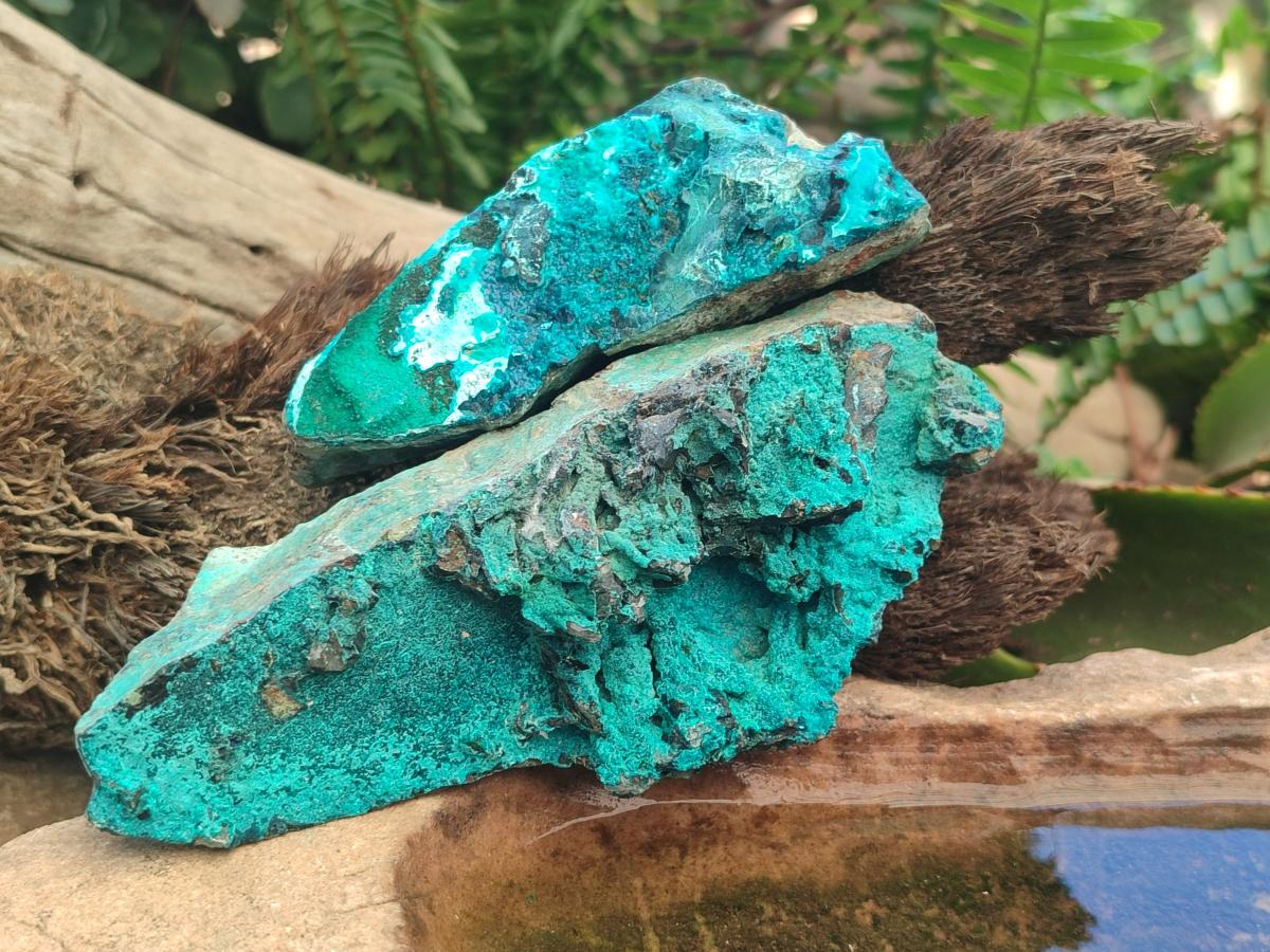 Natural Bright Blue Silica Chrysocolla Specimens x 12 From Kulukuluku, Congo - Toprock Gemstones and Minerals 