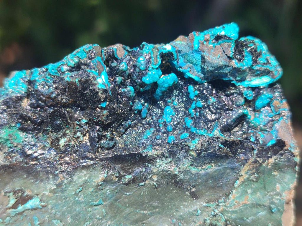 Natural Bright Blue Silica Chrysocolla Specimens x 12 From Kulukuluku, Congo - Toprock Gemstones and Minerals 