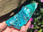 Natural Bright Blue Silica Chrysocolla Specimens x 12 From Kulukuluku, Congo - Toprock Gemstones and Minerals 