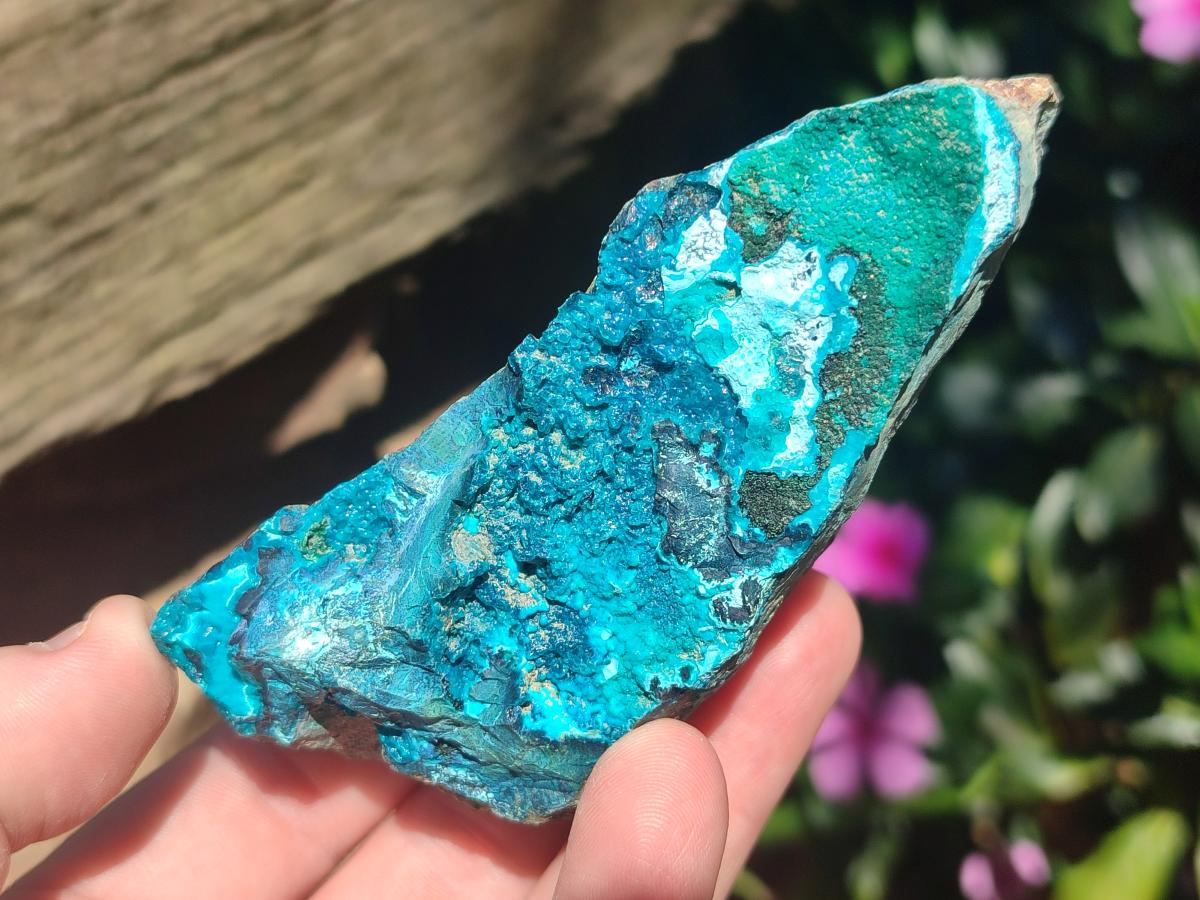Natural Bright Blue Silica Chrysocolla Specimens x 12 From Kulukuluku, Congo - Toprock Gemstones and Minerals 