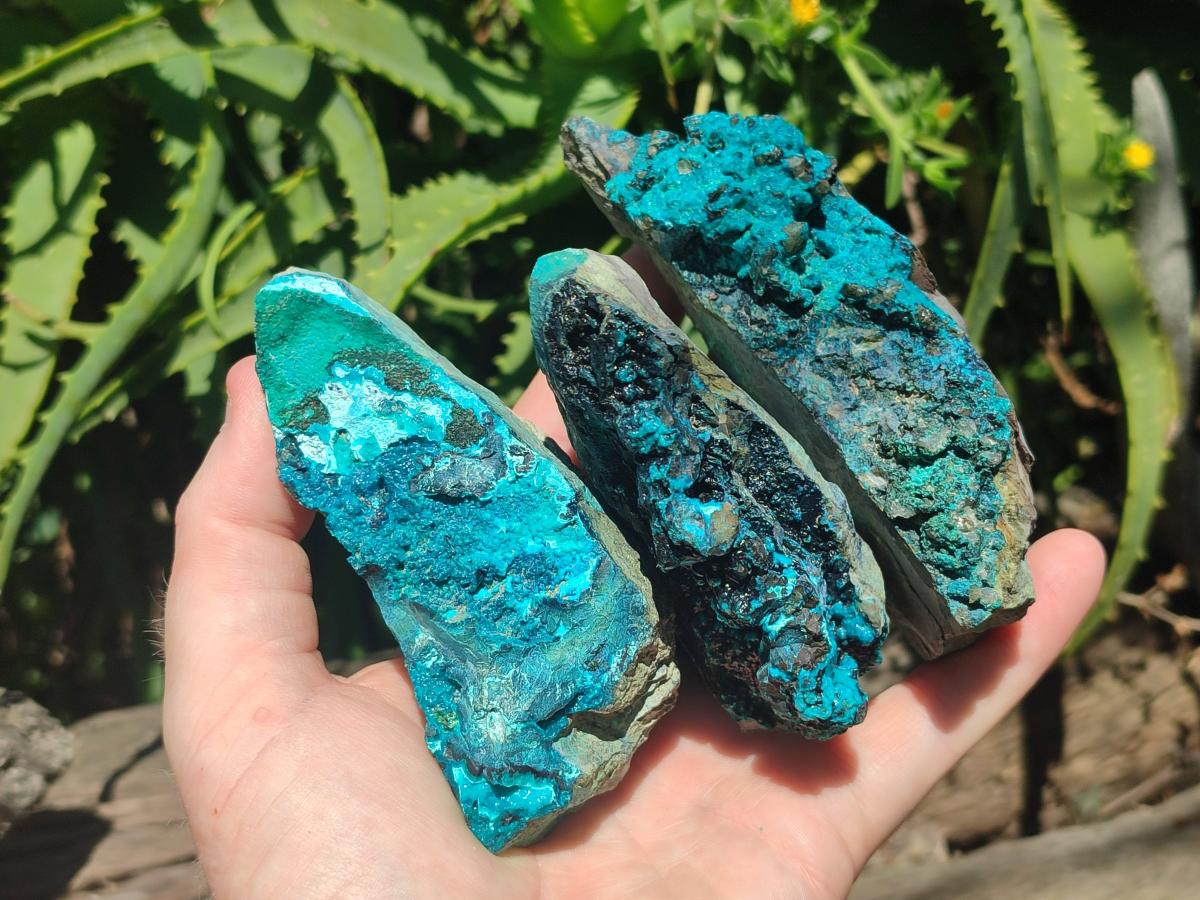 Natural Bright Blue Silica Chrysocolla Specimens x 12 From Kulukuluku, Congo - Toprock Gemstones and Minerals 