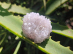 Natural Mini Spirit Quartz Single Crystals x 158 From Boekenhouthoek, South Africa - Toprock Gemstones and Minerals 