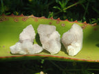 Natural Mini Spirit Quartz Single Crystals x 158 From Boekenhouthoek, South Africa - Toprock Gemstones and Minerals 