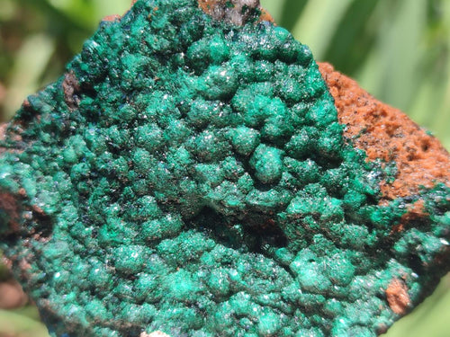 Natural Botryoidal Crystalline Malachite Specimens x 12 From Tenke Fungurume, Congo - Toprock Gemstones and Minerals 