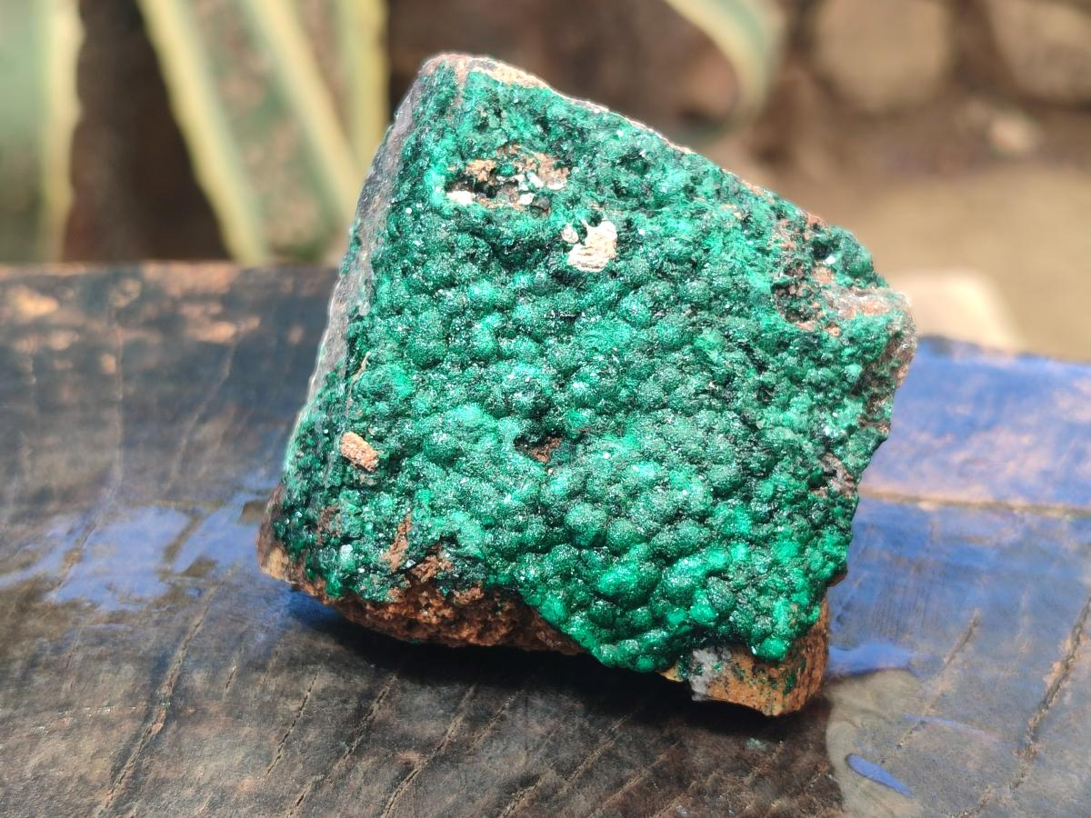 Natural Botryoidal Crystalline Malachite Specimens x 12 From Tenke Fungurume, Congo - Toprock Gemstones and Minerals 