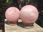 Polished Gemmy Rose Quartz Spheres x 2 From Madagascar - Toprock Gemstones and Minerals 