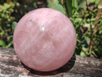 Polished Gemmy Rose Quartz Spheres x 2 From Madagascar - Toprock Gemstones and Minerals 