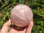 Polished Gemmy Rose Quartz Spheres x 2 From Madagascar - Toprock Gemstones and Minerals 