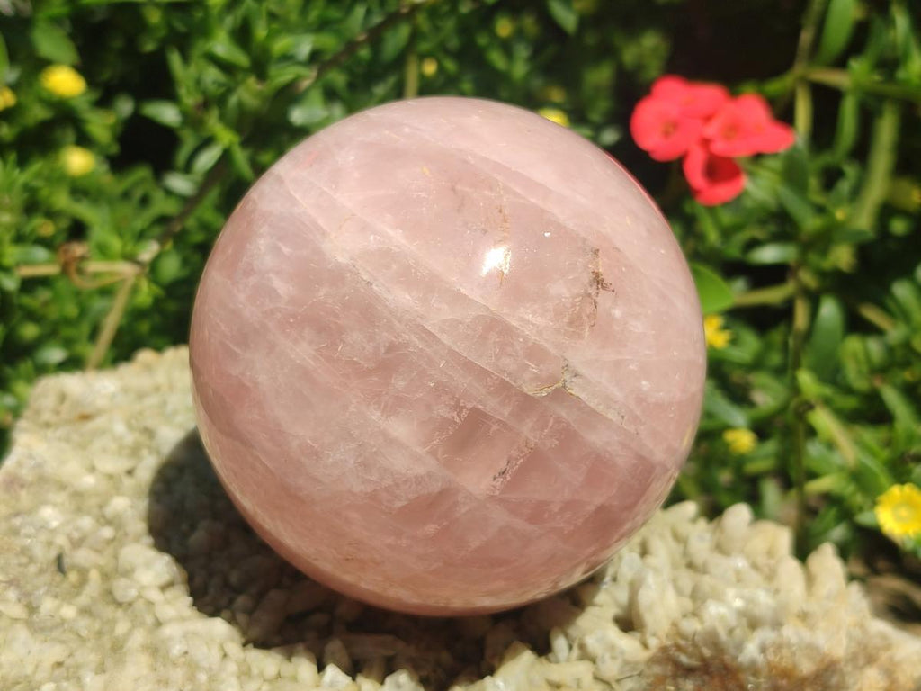 Polished Gemmy Rose Quartz Spheres x 2 From Madagascar - Toprock Gemstones and Minerals 