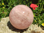 Polished Gemmy Rose Quartz Spheres x 2 From Madagascar - Toprock Gemstones and Minerals 