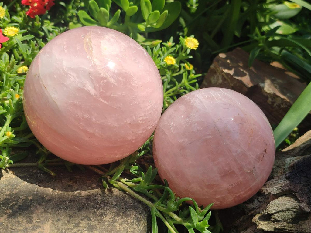 Polished Gemmy Rose Quartz Spheres x 2 From Madagascar - Toprock Gemstones and Minerals 