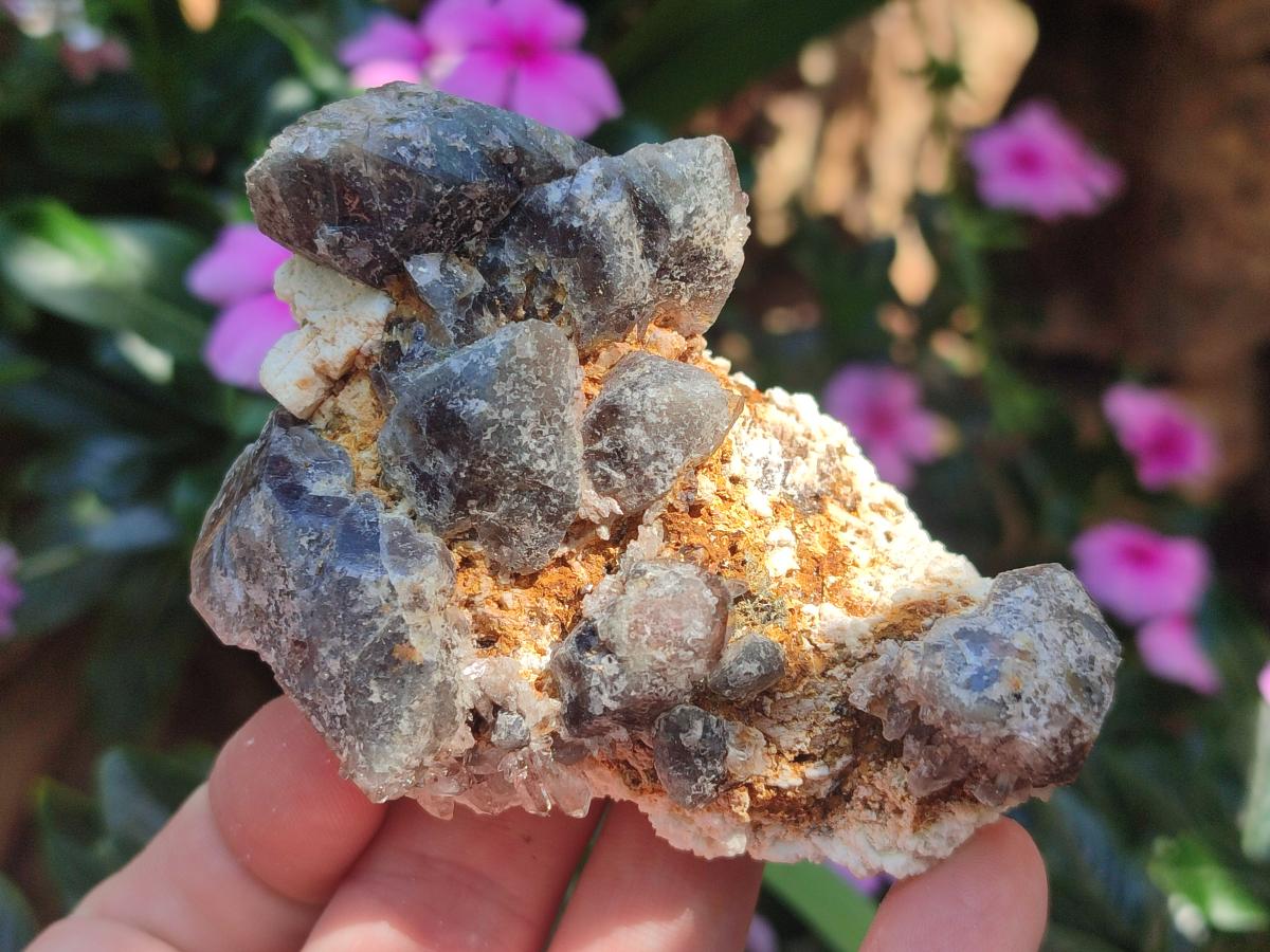 Natural Smokey Quartz Crystals with Aegirine x 12 From Zomba Plateau, Malawi - Toprock Gemstones and Minerals 