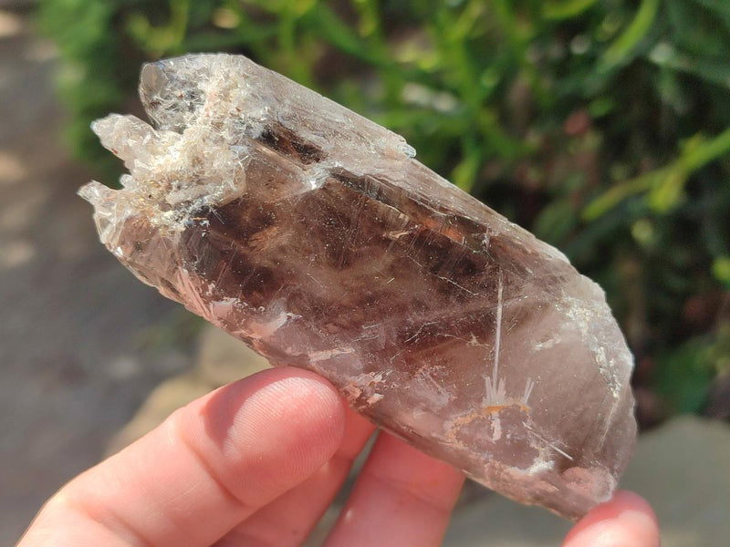 Natural Smokey Quartz Crystals with Aegirine x 12 From Zomba Plateau, Malawi - Toprock Gemstones and Minerals 