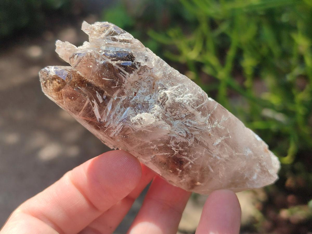 Natural Smokey Quartz Crystals with Aegirine x 12 From Zomba Plateau, Malawi - Toprock Gemstones and Minerals 