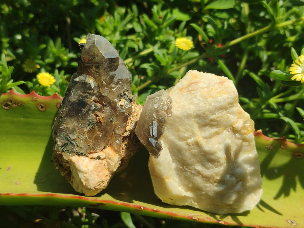 Natural Smokey Quartz Crystals with Aegirine x 12 From Zomba Plateau, Malawi - Toprock Gemstones and Minerals 