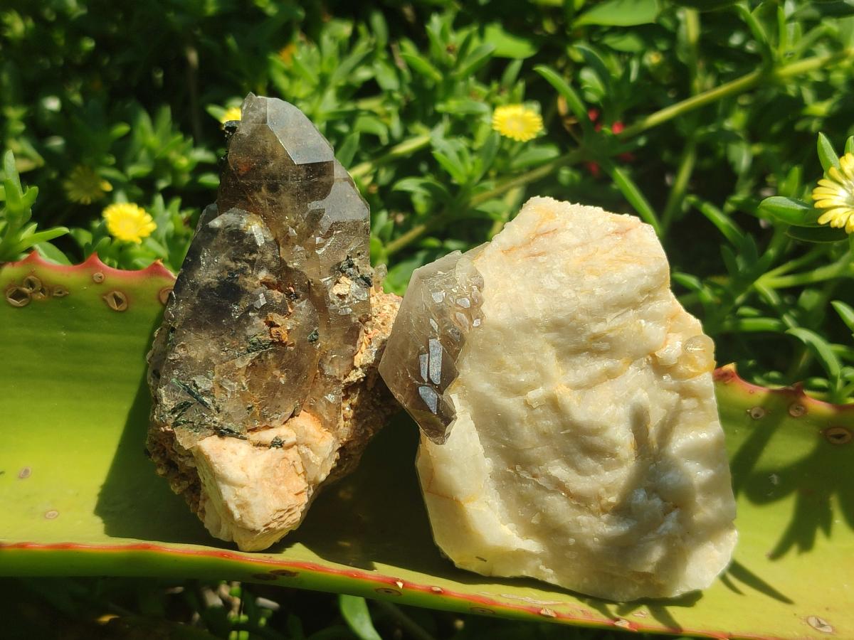 Natural Smokey Quartz Crystals with Aegirine x 12 From Zomba Plateau, Malawi - Toprock Gemstones and Minerals 