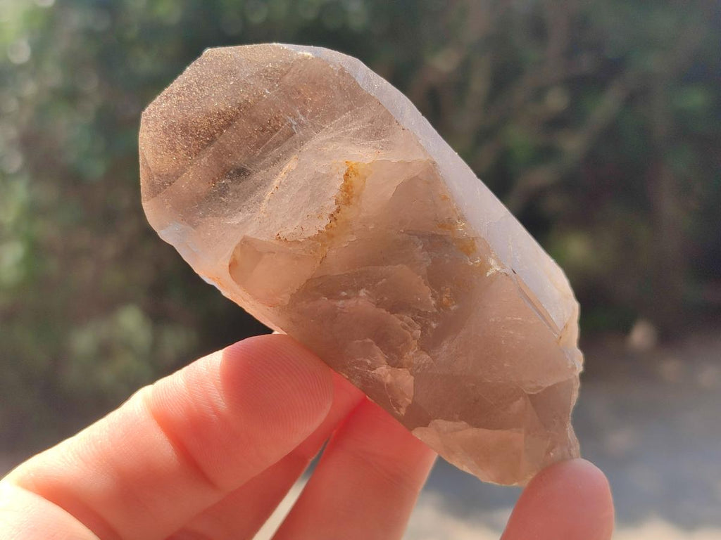 Natural Smokey Quartz Crystals with Aegirine x 12 From Zomba Plateau, Malawi - Toprock Gemstones and Minerals 