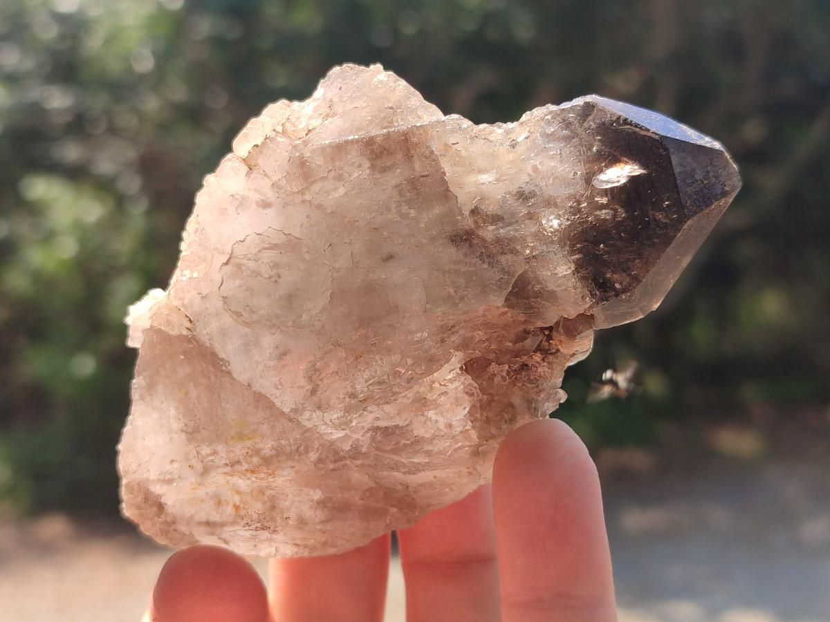 Natural Smokey Quartz Crystals with Aegirine x 12 From Zomba Plateau, Malawi - Toprock Gemstones and Minerals 