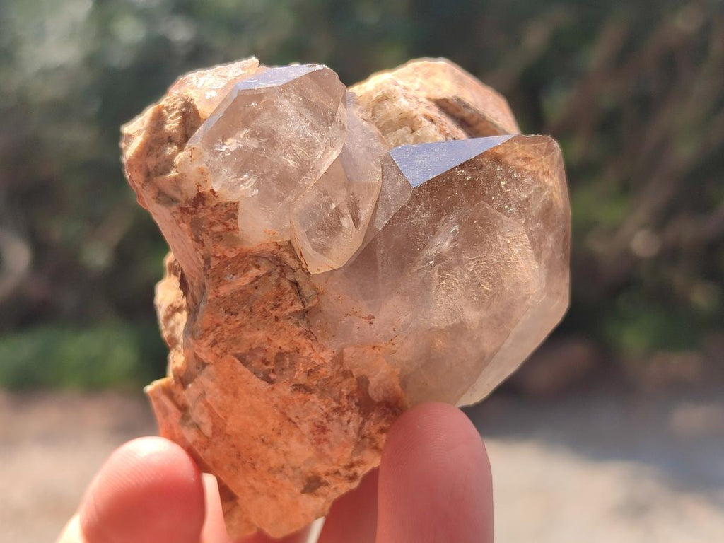 Natural Smokey Quartz Crystals with Aegirine x 12 From Zomba Plateau, Malawi - Toprock Gemstones and Minerals 