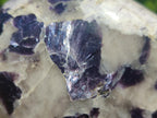 Polished Silver Leaf Lepidolite Standing Display Pieces x 3 From Zimbabwe - Toprock Gemstones and Minerals 