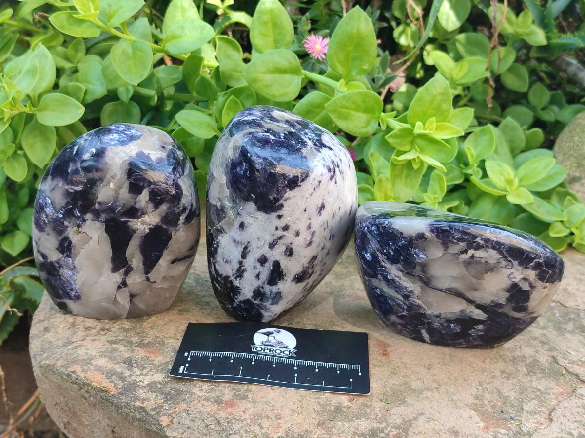 Polished Silver Leaf Lepidolite Standing Display Pieces x 3 From Zimbabwe - Toprock Gemstones and Minerals 