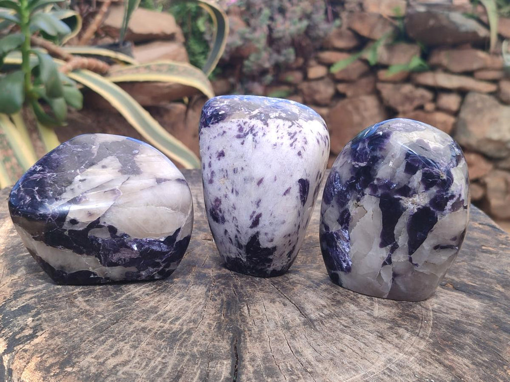 Polished Silver Leaf Lepidolite Standing Display Pieces x 3 From Zimbabwe - Toprock Gemstones and Minerals 