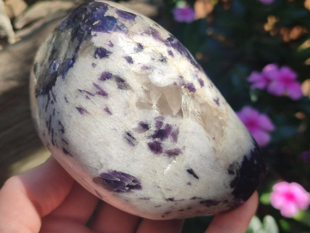Polished Silver Leaf Lepidolite Standing Display Pieces x 3 From Zimbabwe - Toprock Gemstones and Minerals 