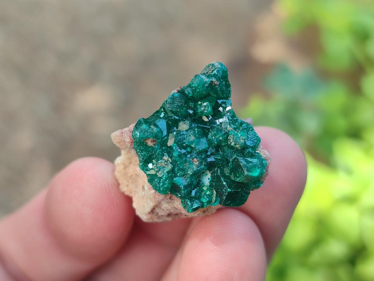 Natural Small Dioptase Specimens on Dolomite Matrix x 35 From Tantara Mine, Congo - Toprock Gemstones and Minerals 