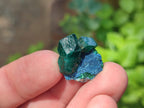 Natural Small Dioptase Specimens on Dolomite Matrix x 35 From Tantara Mine, Congo - Toprock Gemstones and Minerals 