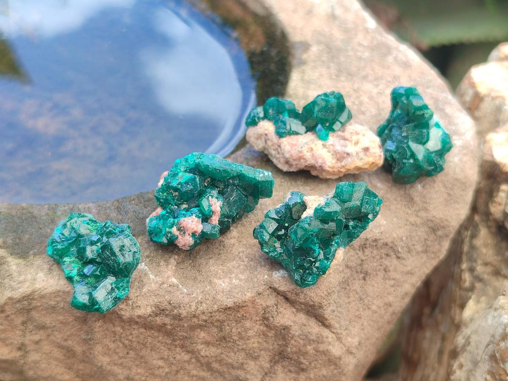 Natural Small Dioptase Specimens on Dolomite Matrix x 35 From Tantara Mine, Congo - Toprock Gemstones and Minerals 