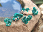 Natural Small Dioptase Specimens on Dolomite Matrix x 35 From Tantara Mine, Congo - Toprock Gemstones and Minerals 
